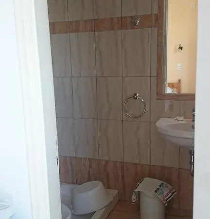 Nikoletta 1 *